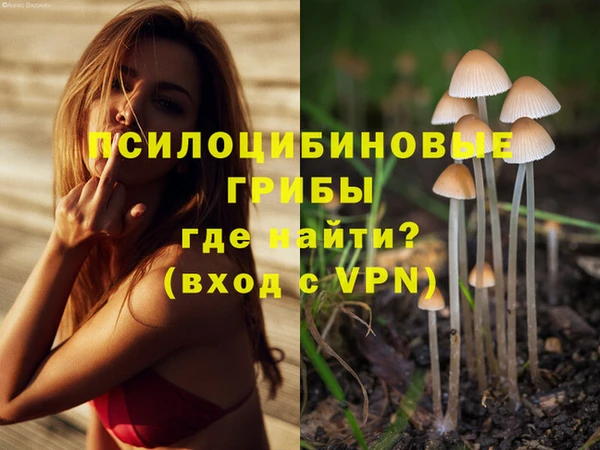 apvp Пролетарск