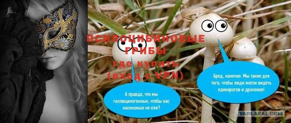 ПСИЛОЦИБИНОВЫЕ ГРИБЫ Россошь