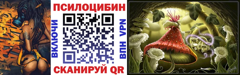 где продают наркотики  Александровск  Псилоцибиновые грибы Magic Shrooms 