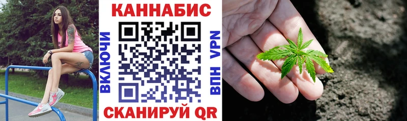 Бошки марихуана VHQ  Александровск 